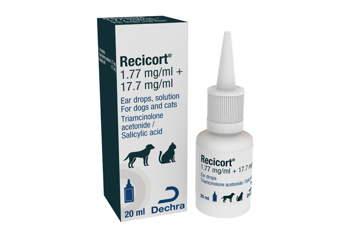 Dog ear infection treatment hotsell over the counter uk