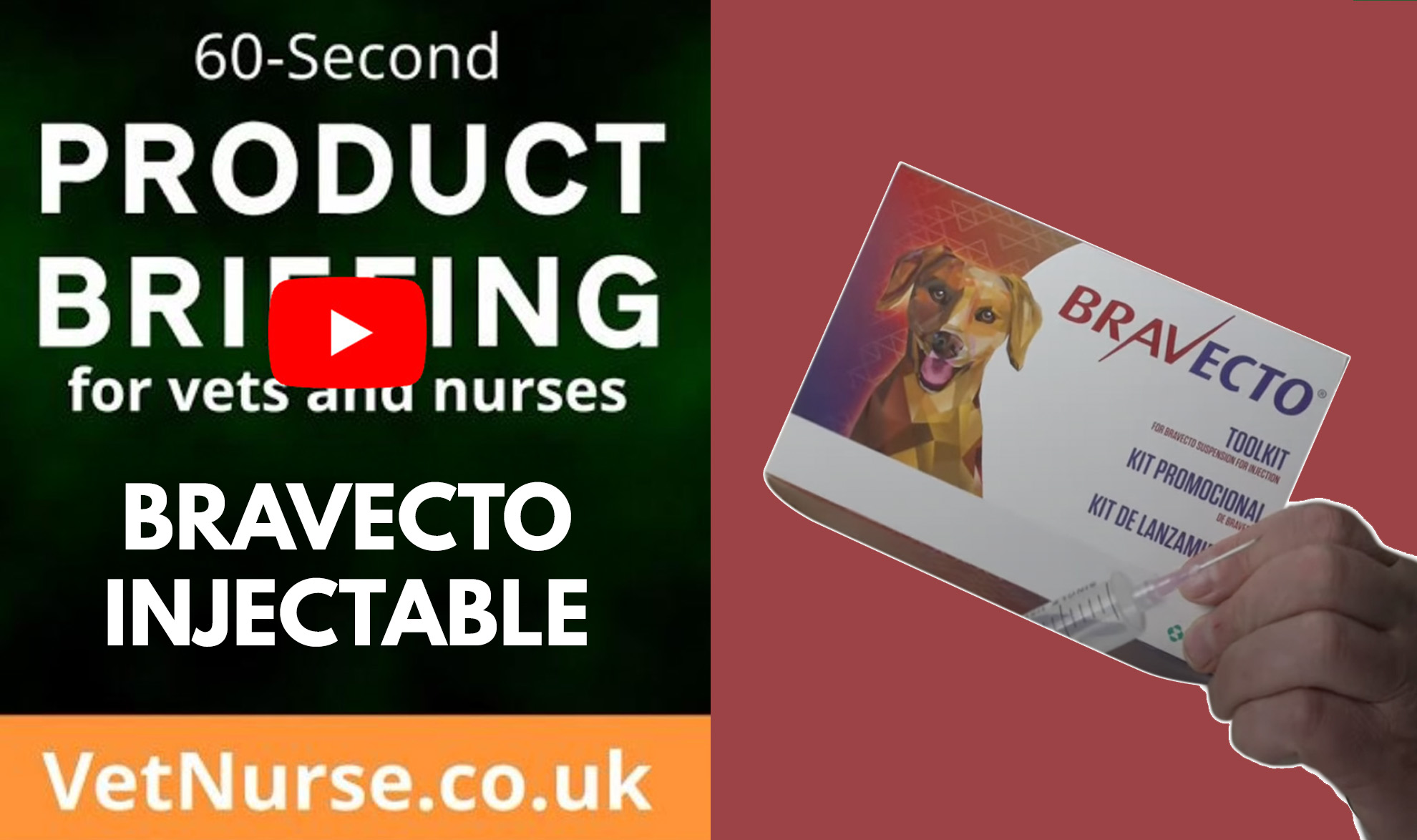 Bravecto Injectable