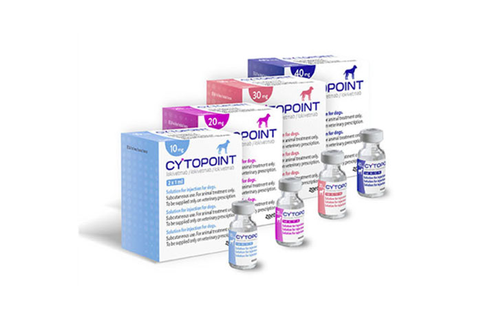 Cytopoint now licensed for pruritus associated with allergic dermatitis VetNurse News Vet Nurse Vet Nurse