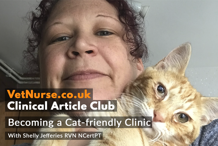 Vet Nurses Invited To Talk About ‘becoming A Cat Friendly Clinic