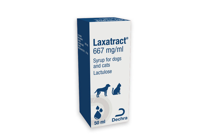 Lactulose kitten shop