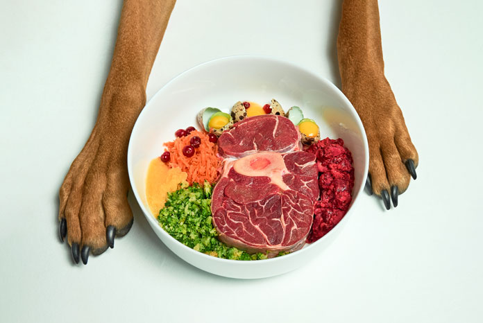 is all meat diet good for dogs