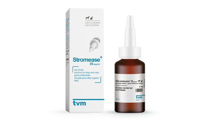 Chloramphenicol eye drops 2024 for cats uk