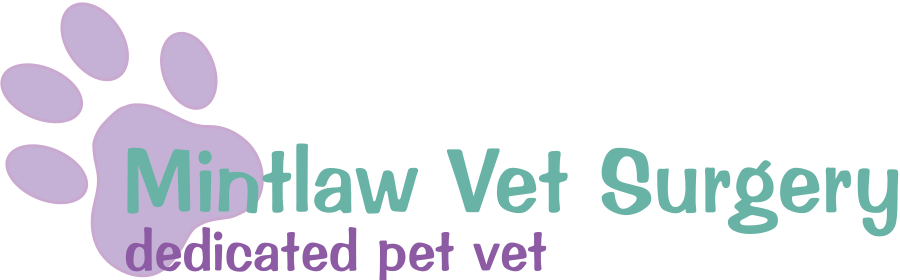 Job: Registered Veterinary Nurse. Mintlaw Vet Surgery, Peterhead - Jobs ...