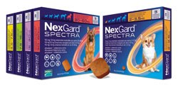 Merial has announced that Nexgard Spectra has now been licensed to prevent lungworm in dogs, making it the only product which deals with lungworm and ticks (not to mention fleas and roundworm).