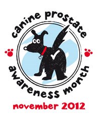 Virbac Animal Health is calling on practices to prepare for Canine Prostate Awareness Month (CPAM), being held by the company in November to highlight the prevalence of the disease and to encourage owners and practices to test for it.