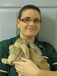 Ivan Crotaz MRCVS and Jo Hinde RVN (pictured right) have launched a specialist rabbit CPD company, LagoLearn, to help veterinary surgeons and nurses develop their skills so they can treat pet rabbits to the same level as cats and dogs.