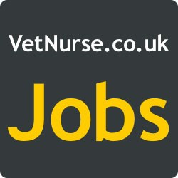 VetNurse Jobs 