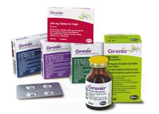 The anti-emetic, Cerenia, has gained licenses for use in puppies from as young as eight weeks of age and now in cats from 16 weeks of age in the prevention and treatment of vomiting and reduction of nausea.