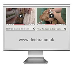 Dechra Veterinary Products has launched a range of support material to help educate owners about pet ear health.