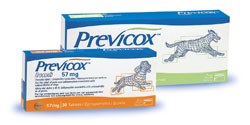 Merial Animal Health, manufacturer of Previcox, has launched a new campaign in small animal practices across the UK to continue to spread the message of 'total joint health'