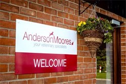 Anderson Moores Veterinary Specialists has announced that it is to start work building a new treatment centre for cats with hyperthyroidism.Anderson Moores Veterinary Specialists has announced that it is to start work building a new treatment centre for cats with hyperthyroidism.