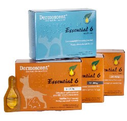 Veterinary skincare company, Laboratoire de Dermo-Cosmétique Animale (LDCA) has extended the use of Dermoscent Essential 6 spot-on and Essential Mousse to include small mammals.