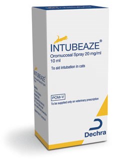 Intubeaze from Dechra is now back in stock