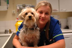 Jade Rowell a vet nurse from Companion Care Veterinary Surgery in Peterborough