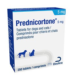 Dechra Veterinary Products has launched 5 mg Prednicortone (prednisolone) which can be split into increments of 1.25 mg using SmartTab technology.