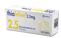 Animalcare has announced the launch of Thiafeline (Thiamazole 2.5mg and 5mg) for the management of hyperthyroidism in cats.