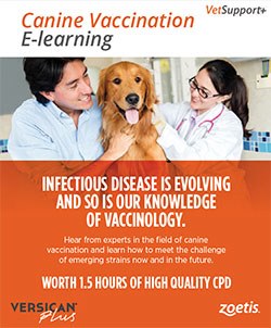 Zoetis launches free online canine vaccination CPD course - VetNurse