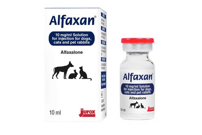 Jurox (UK) Limited has announced that its anaesthetic for cats and dogs, Alfaxan (alfaxalone), has now been licensed for the induction of anaesthesia in pet rabbits.