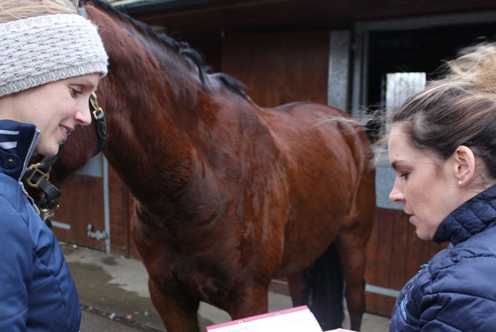 The British Equine Veterinary Association has launched a pilot project to tackle equine obesity.