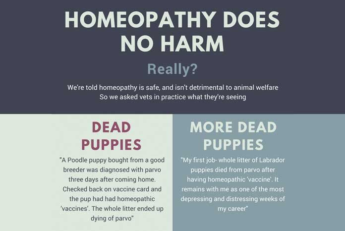 The British Association of Homeopathic Veterinary Surgeons has announced it is to hold a second march in protest against the recent RCVS position statement on complementary and alternative medicines.