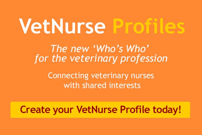 VetNurse.co.uk has today launched VetNurse Profiles