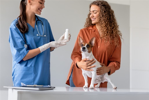 Veterinary Nursing News - Vetnurse News - Vet Nurse - Vet Nurse